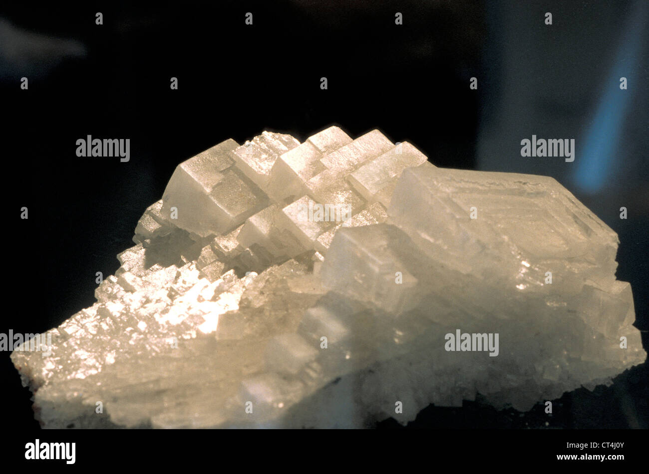 CRYSTALS OF SALT Stock Photo Alamy