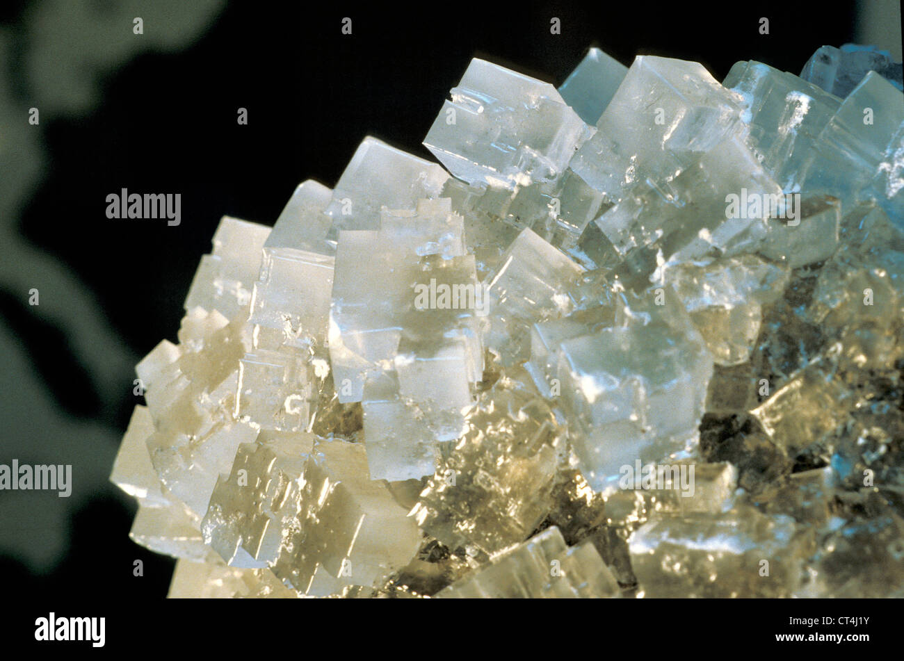 CRYSTALS OF SALT Stock Photo Alamy