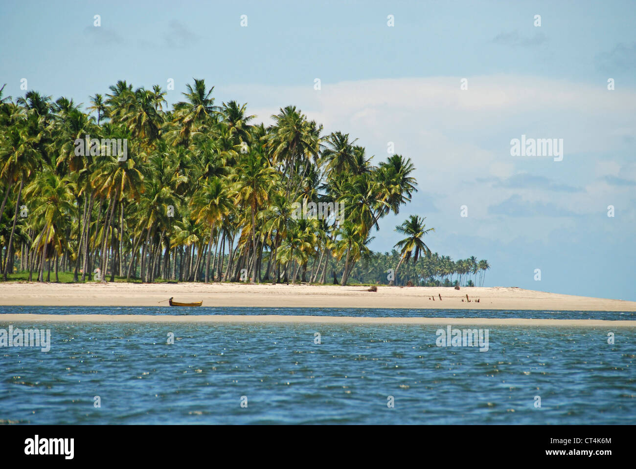 Brazil, Pernambuco, Praia dos Carneiros, white sand beach with palm trees Stock Photo