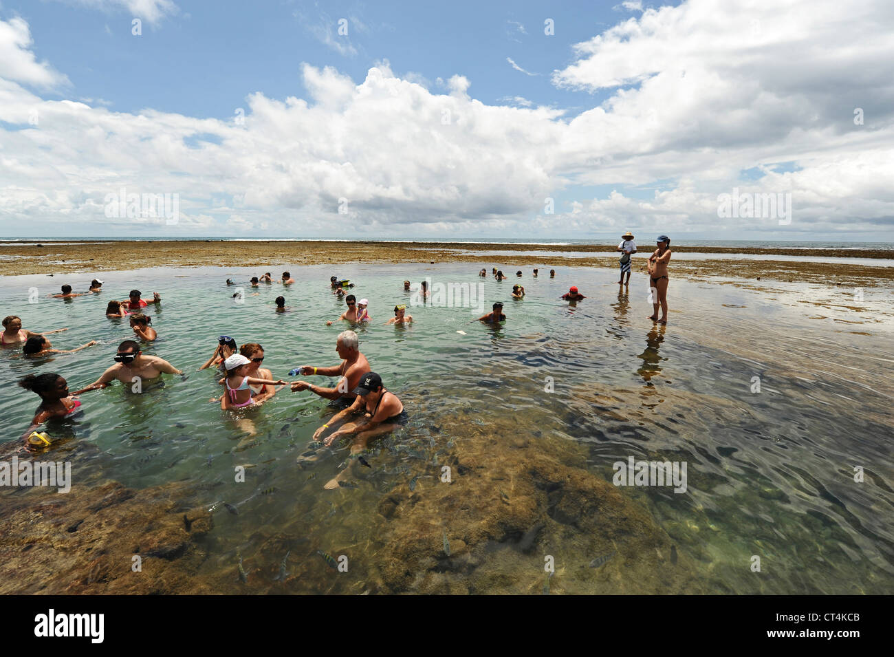 Brazil, Pernambuco, Porto de Galinhas, tourist looking for fish in the natural pools Stock Photo
