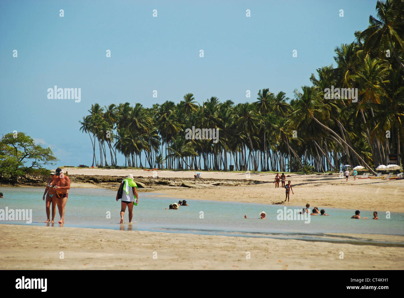 Brazil, Pernambuco, Praia dos Carneiros, tourists looking for natural pool fishes at low tide Stock Photo