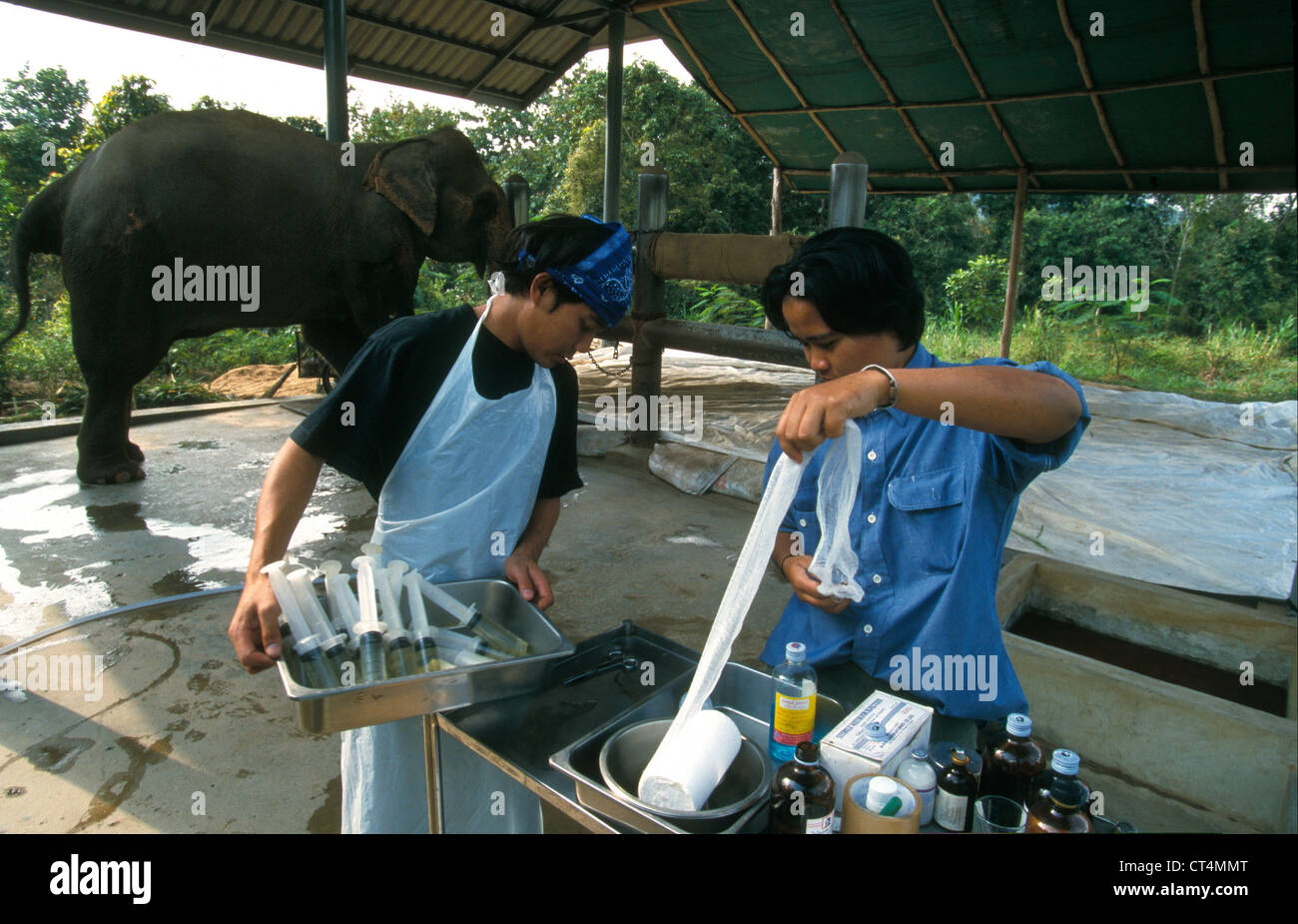 Human and animal care hires stock photography and images Alamy