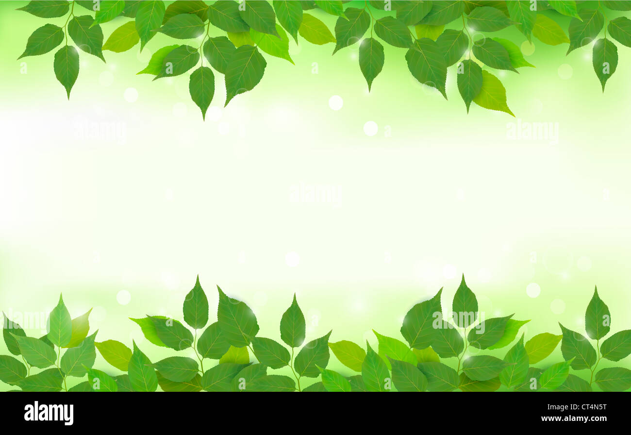 Nature background with green fresh leaves Stock Photo - Alamy