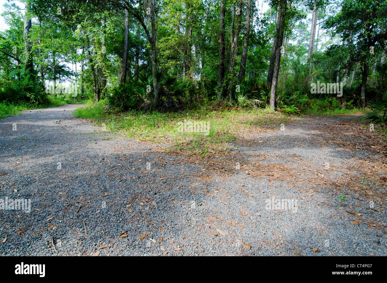 Fork in the Road Stock Photo Alamy