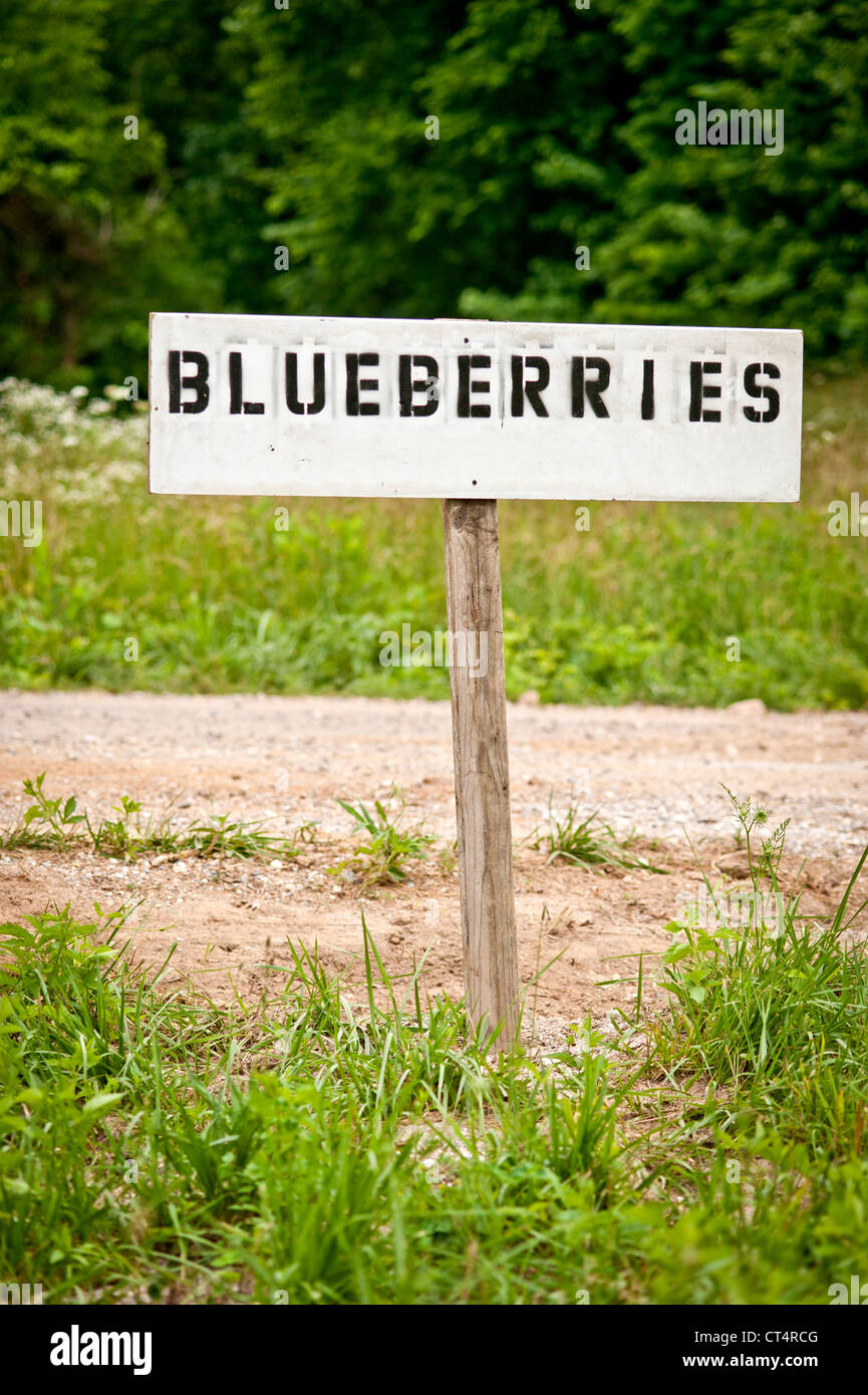 A hand made blueberry sign at the entrance to a farm in Arkansas. Stock Photo
