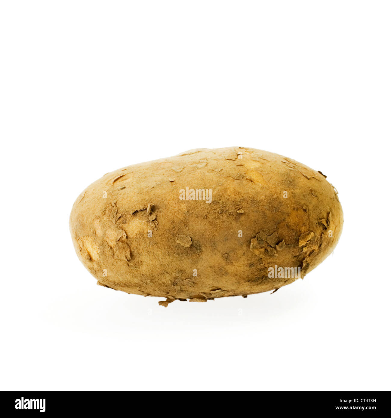 Baking potato on white with very soft shadow, unwashed and with soil still on it. Stock Photo