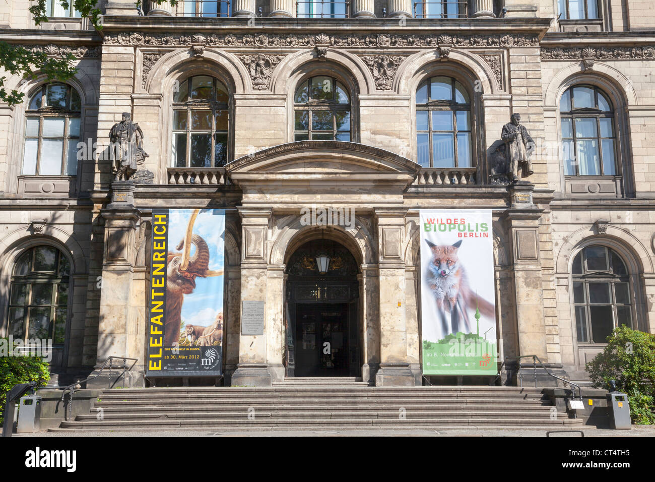 Naturkundemuseum Berlin Germany High Resolution Stock Photography and  Images - Alamy