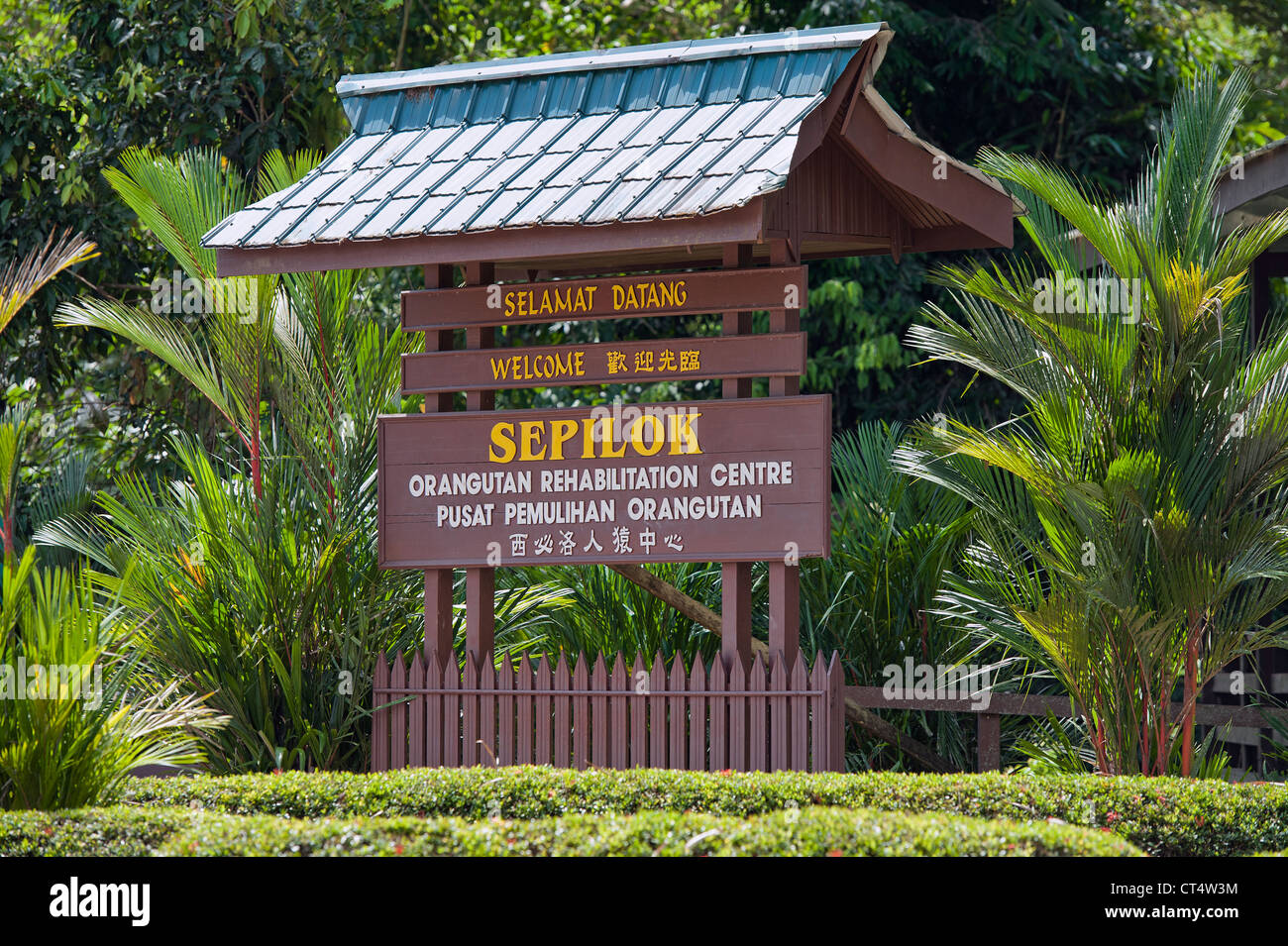 The orangutan rehabilitation centre at Sepilok, Sabah, Malaysia, Borneo Stock Photo