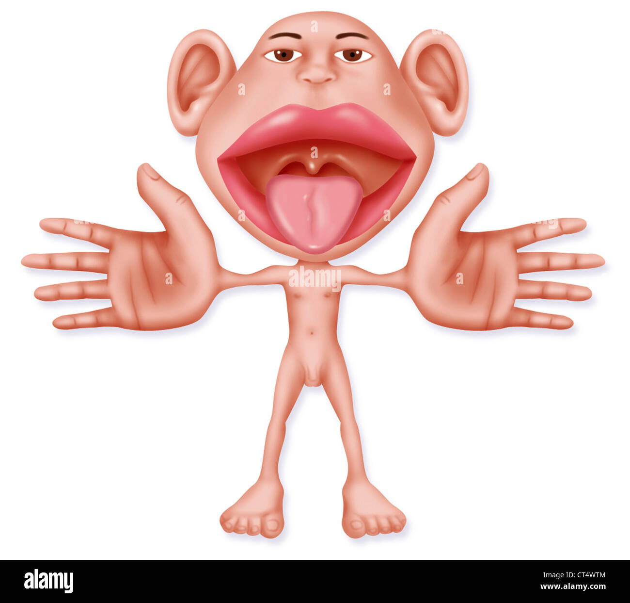 Spring Of Wife By Homunculus Sensory homunculus hi-res stock photography and images - Alamy
