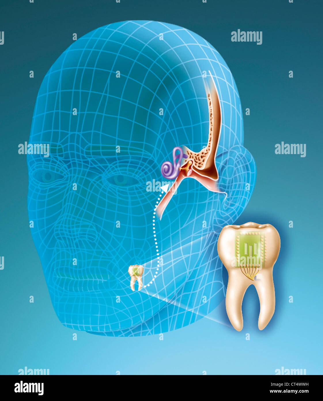 Artificial sounds hi-res stock photography and images - Alamy