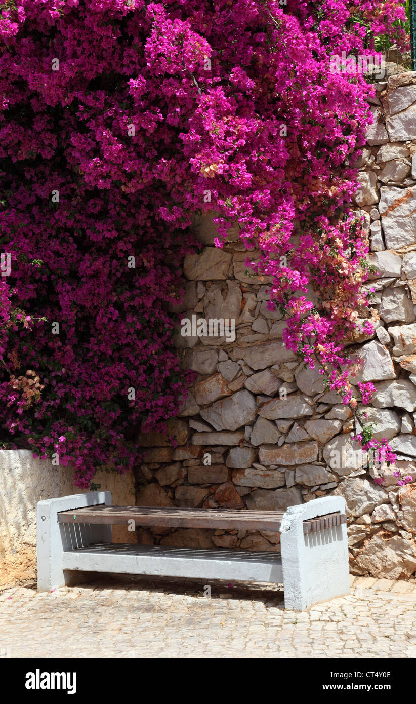 Bench with pink bougainvillea in Lagos, Algarve Portugal Stock Photo