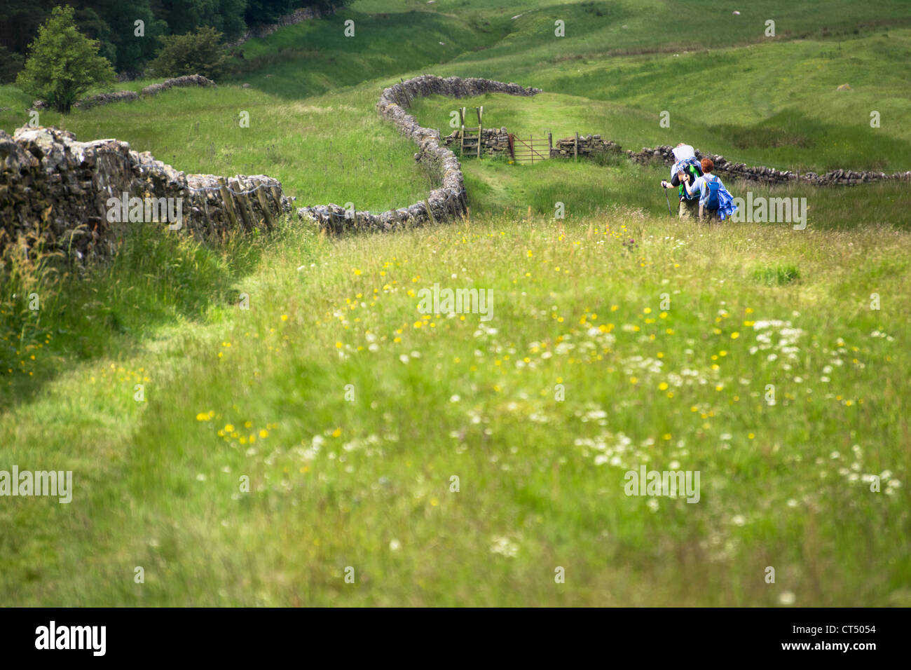 Two hikers walking the route alongside Hadrians Wall. While the wall has long since gone, you can see the Vallum. Stock Photo