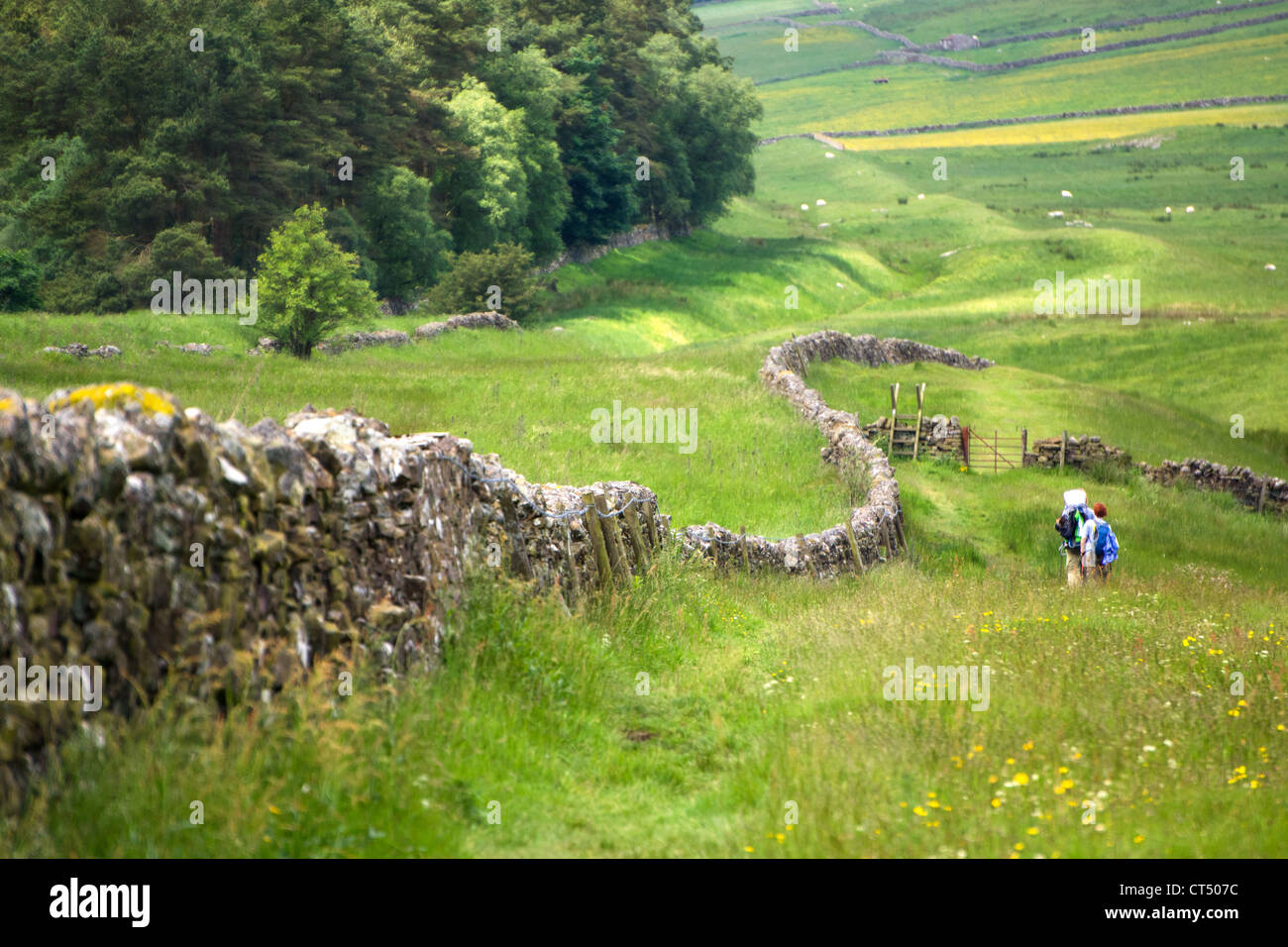 Two hikers walking the route alongside Hadrians Wall. While the wall has long since gone, you can see the Vallum. Stock Photo