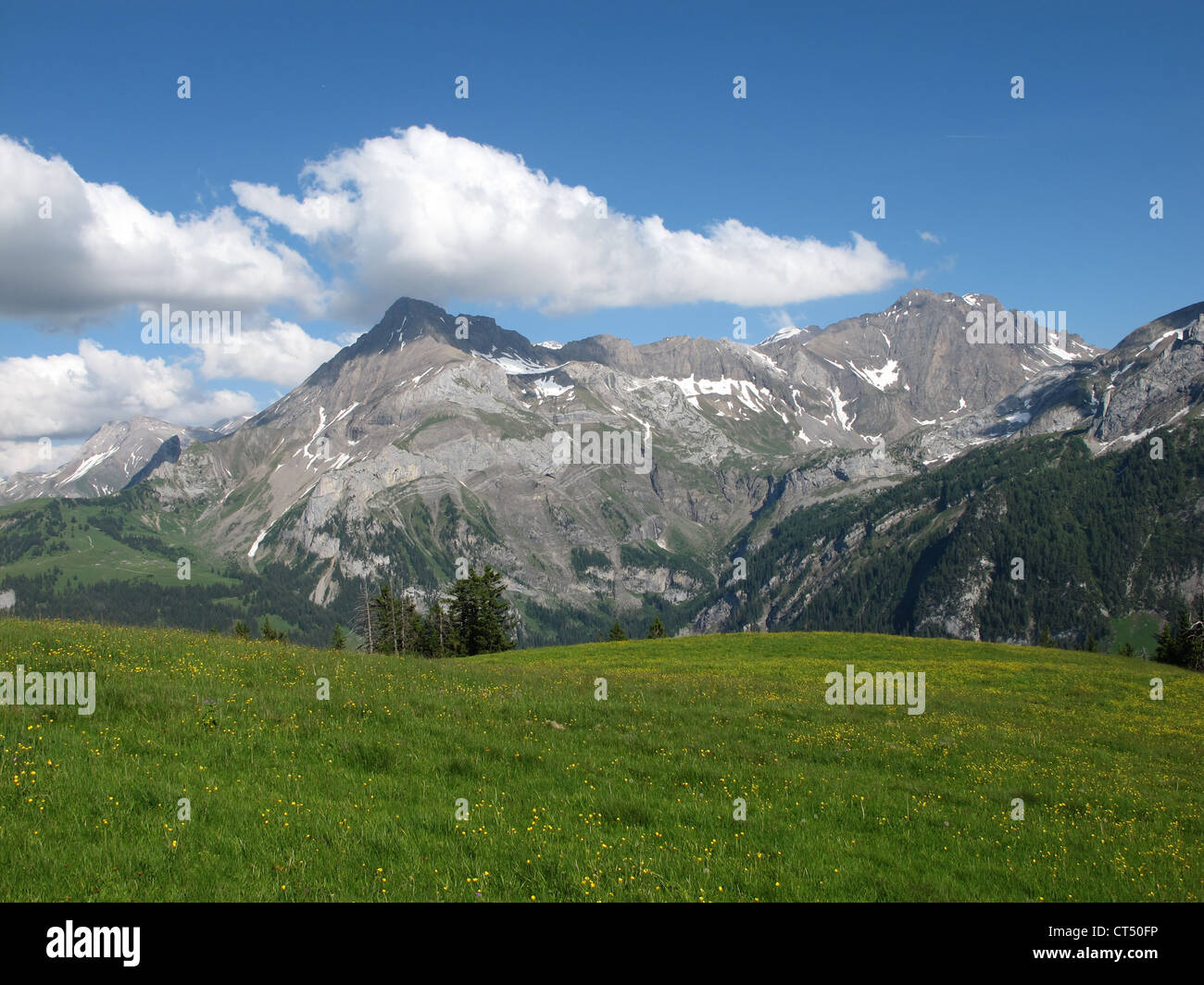Green meadow, mountains and clouds in the Swiss Alps Stock Photo - Alamy