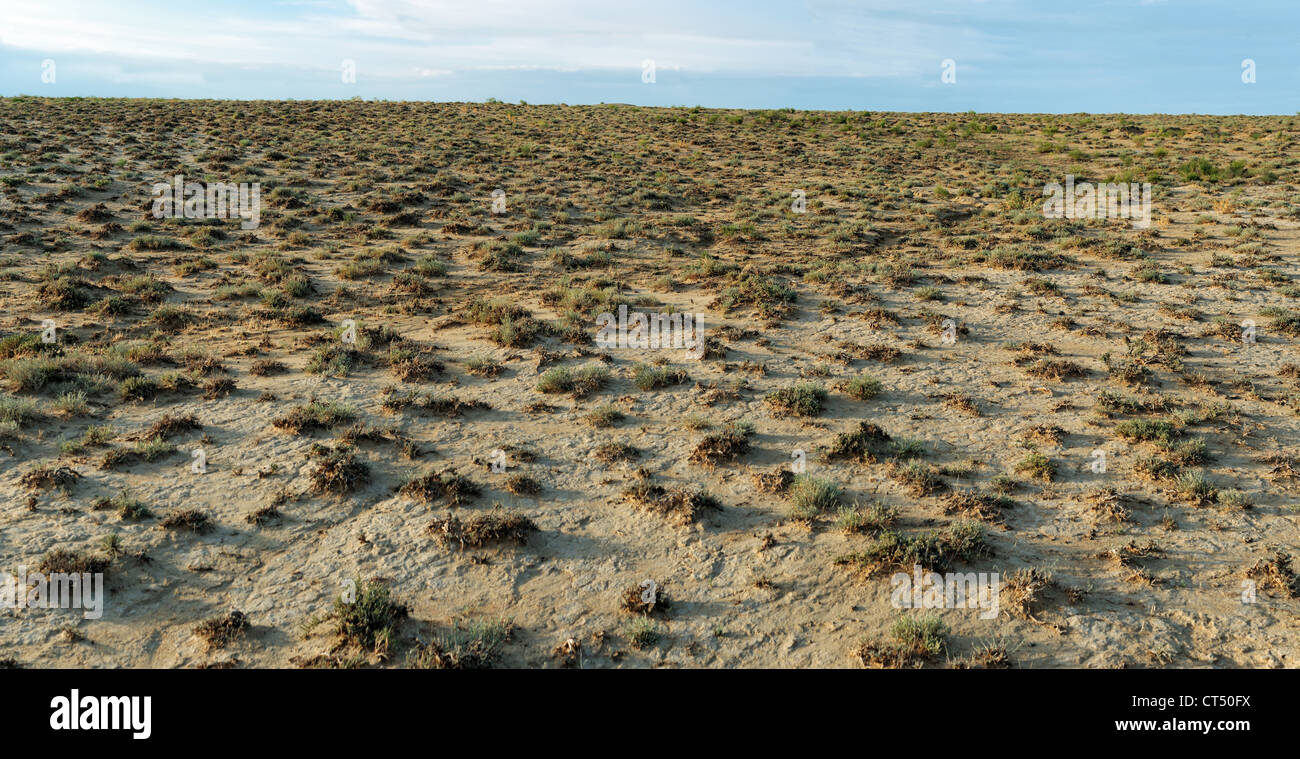 arid, background, barren, climate, climatic, deserted, dry, earth, ecosystem, environment, global warming, habitat, heat, hot, m Stock Photo