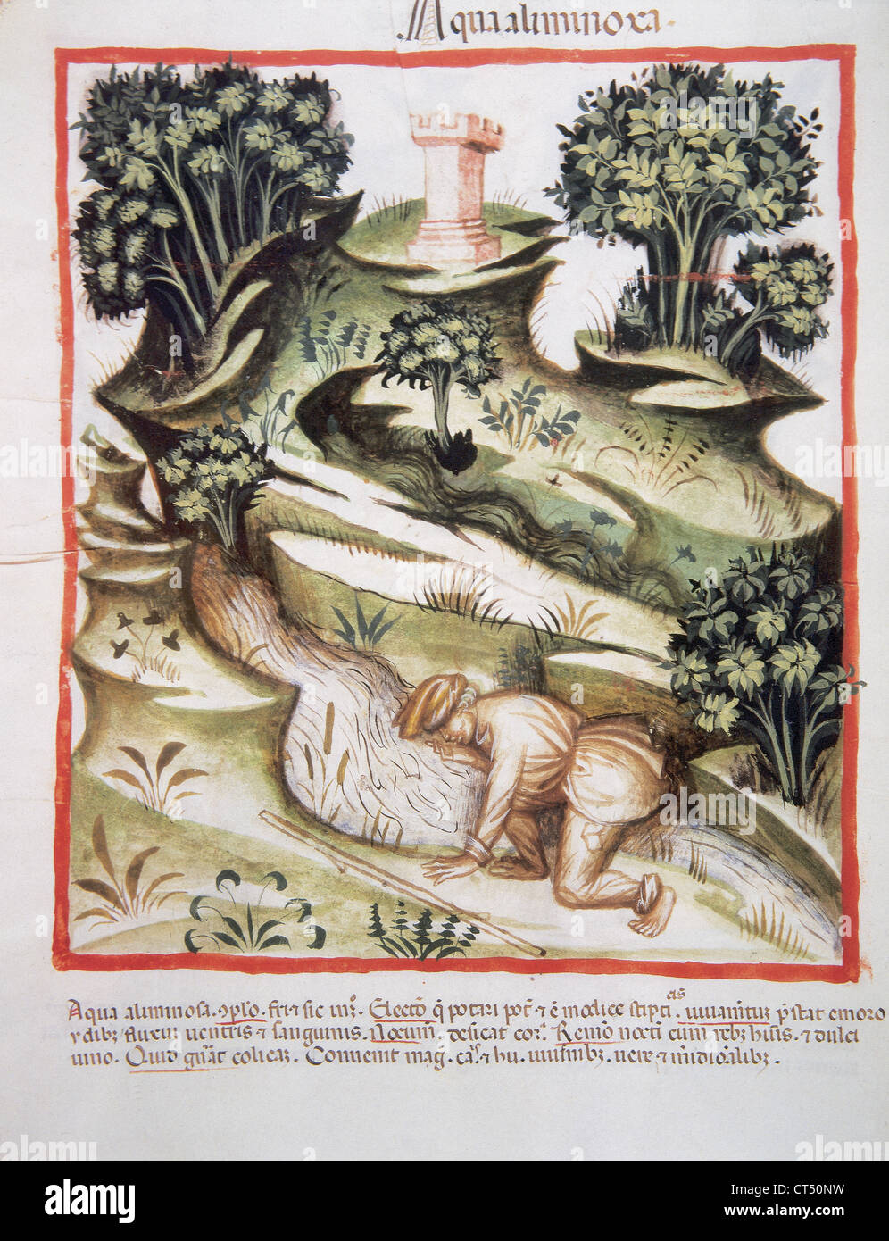 Tacuinum Sanitatis. 14th century. Medieval handbook of health. A man drinks water from a river. Folio 90v. Stock Photo