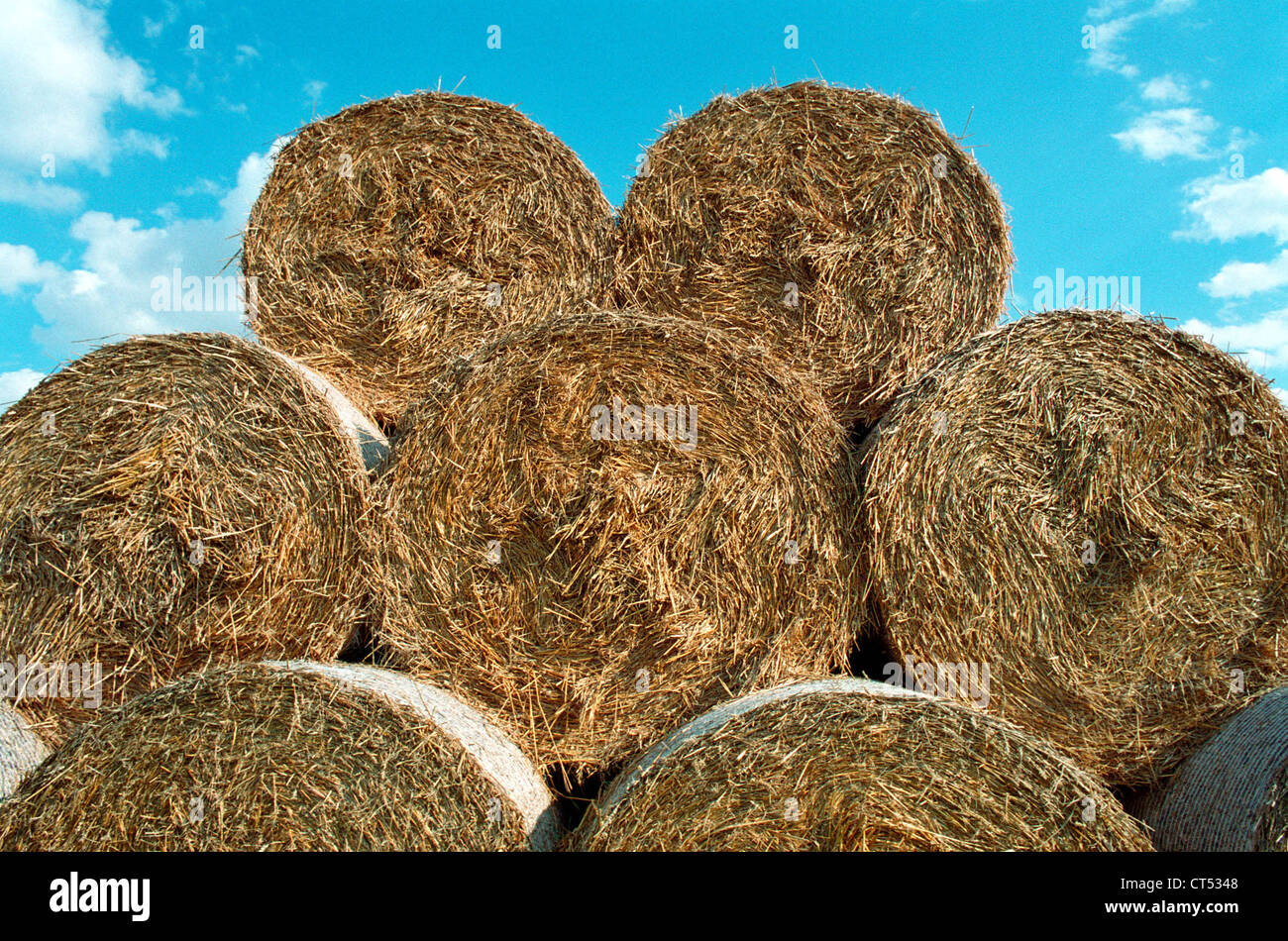 Black, bundled into bales of straw Stock Photo Alamy