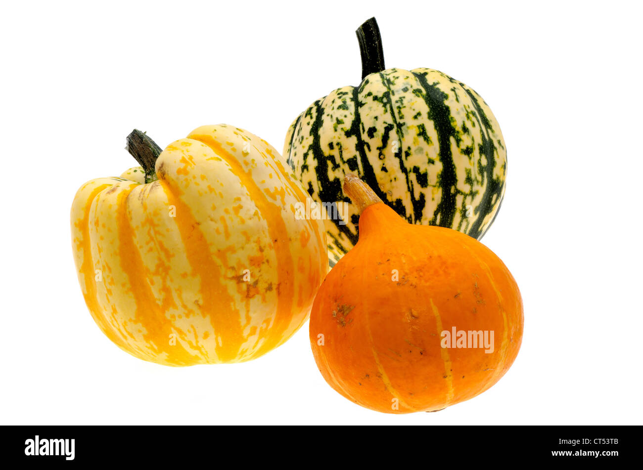 Three colourful winter gourds Stock Photo