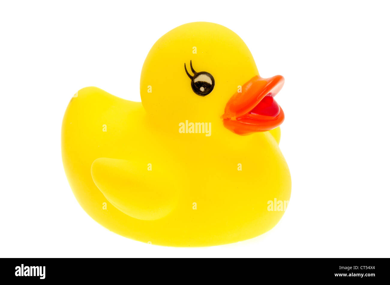 Close up on a yellow rubber duck - studio shot with a white background Stock Photo