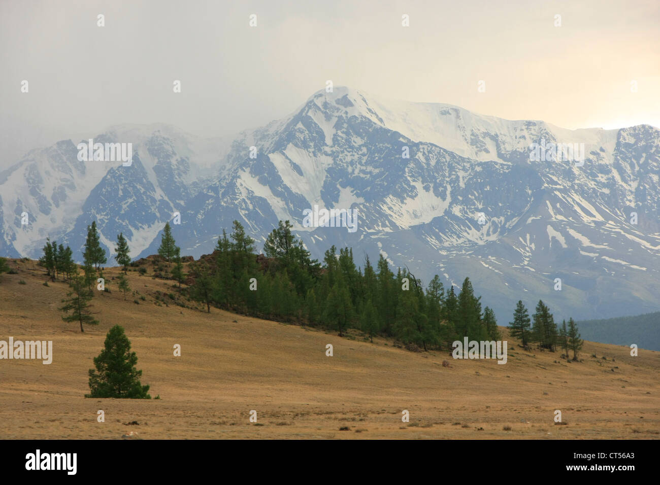 Snowcapped mountains with barren hillside, Altai, Siberia, Russia Stock Photo