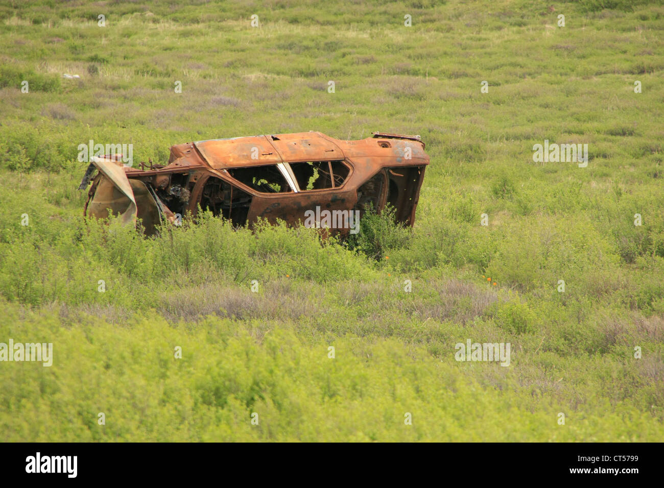 Smashed car in a green field, Ulaganskoe plateau, Altai, Siberia, Russia Stock Photo