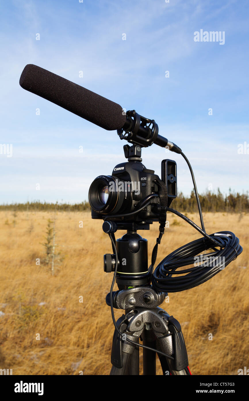 A DSLR camera with video functionality mounted on a tripod with a