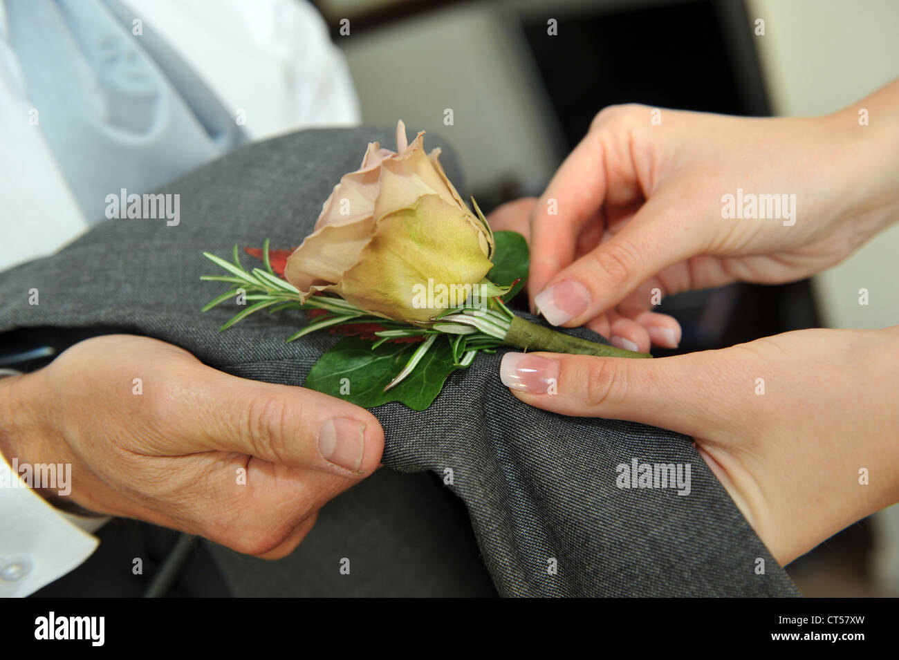 A button hole flower is placed onto a jacket for a wedding Stock Photo