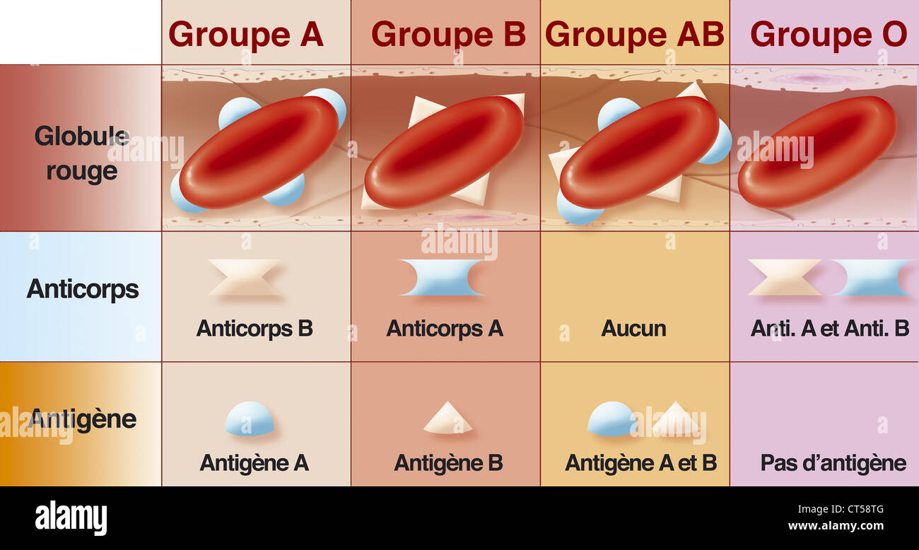 blood type chart antigens antibodies