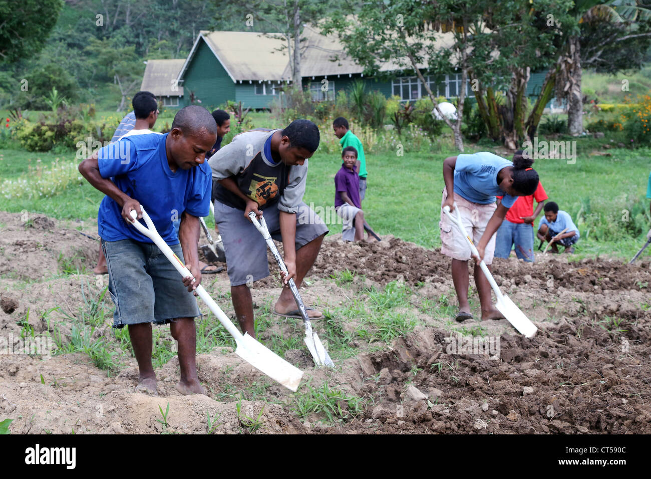 students of the Sacred Heart High School digging in the schools garden in the mountain village of Tapini, Papua New Guinea Stock Photo