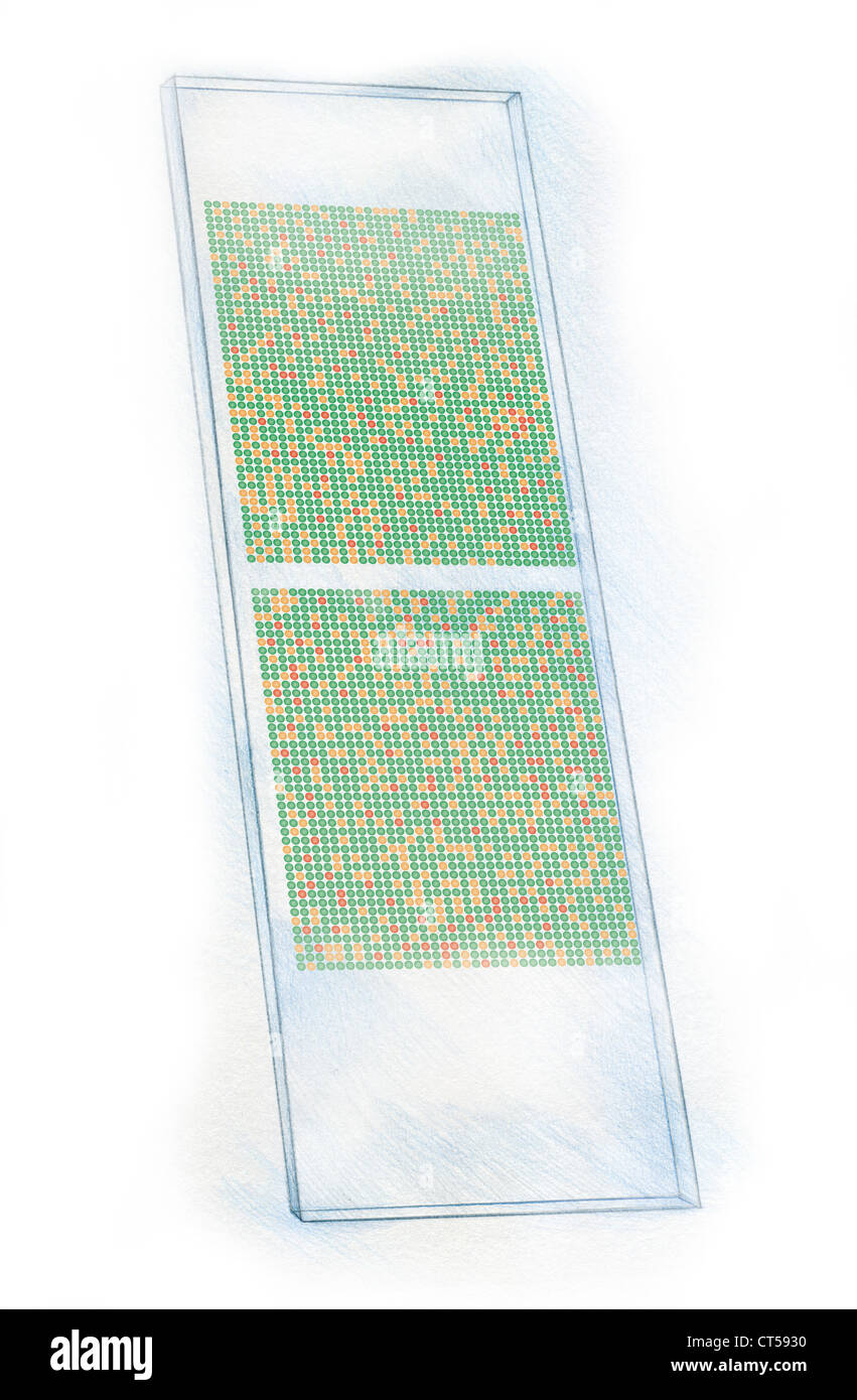 DNA CHIP Stock Photo