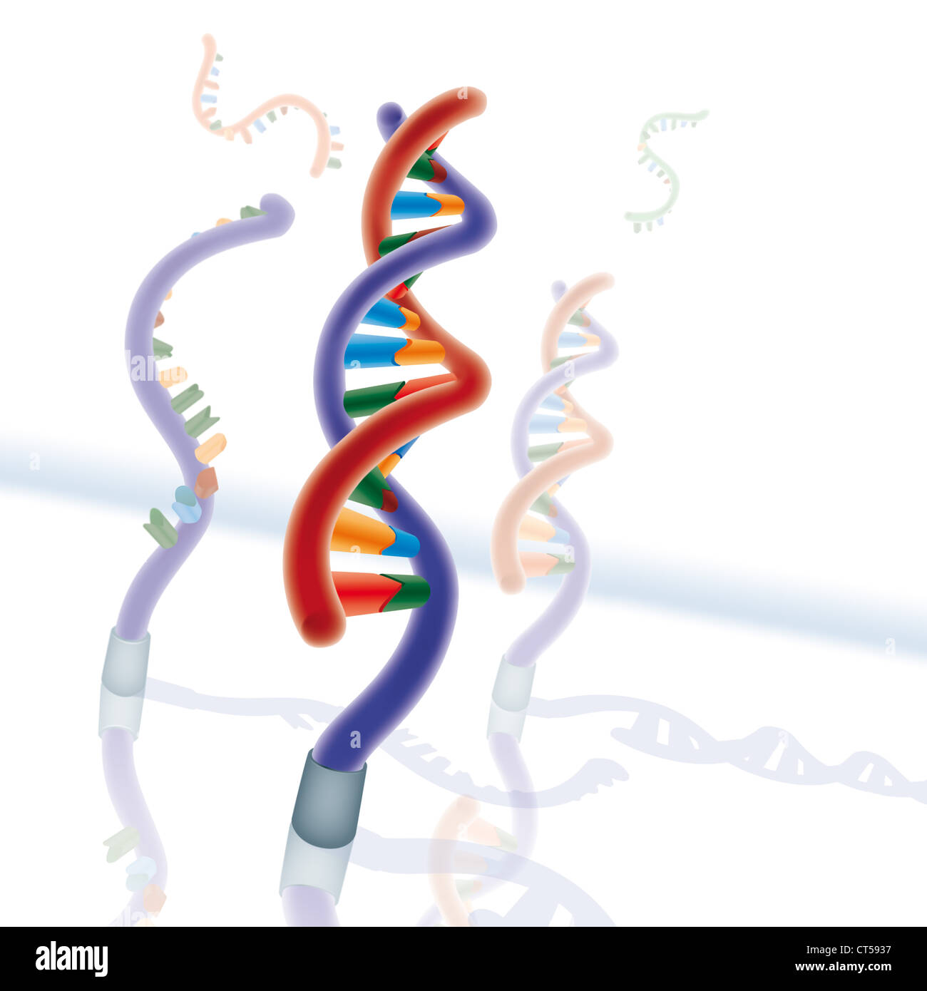 DNA CHIP Stock Photo