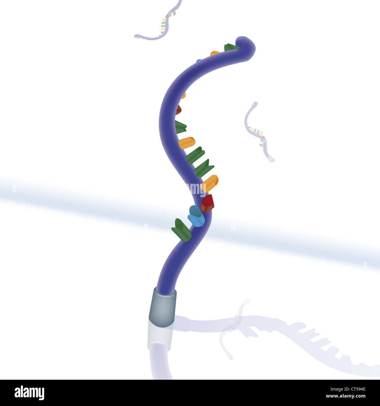 DNA CHIP Stock Photo