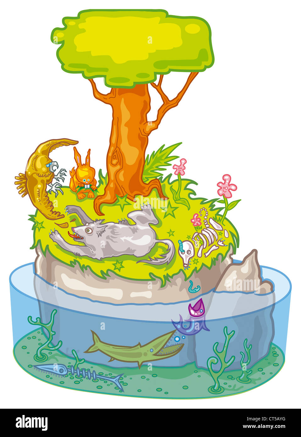 Seashore Food Chain Biology Diagrams
