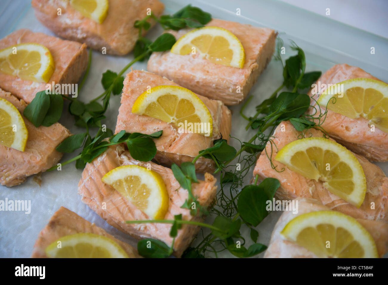 a tray of poached salmon steaks with lemon slices garnish buffet food