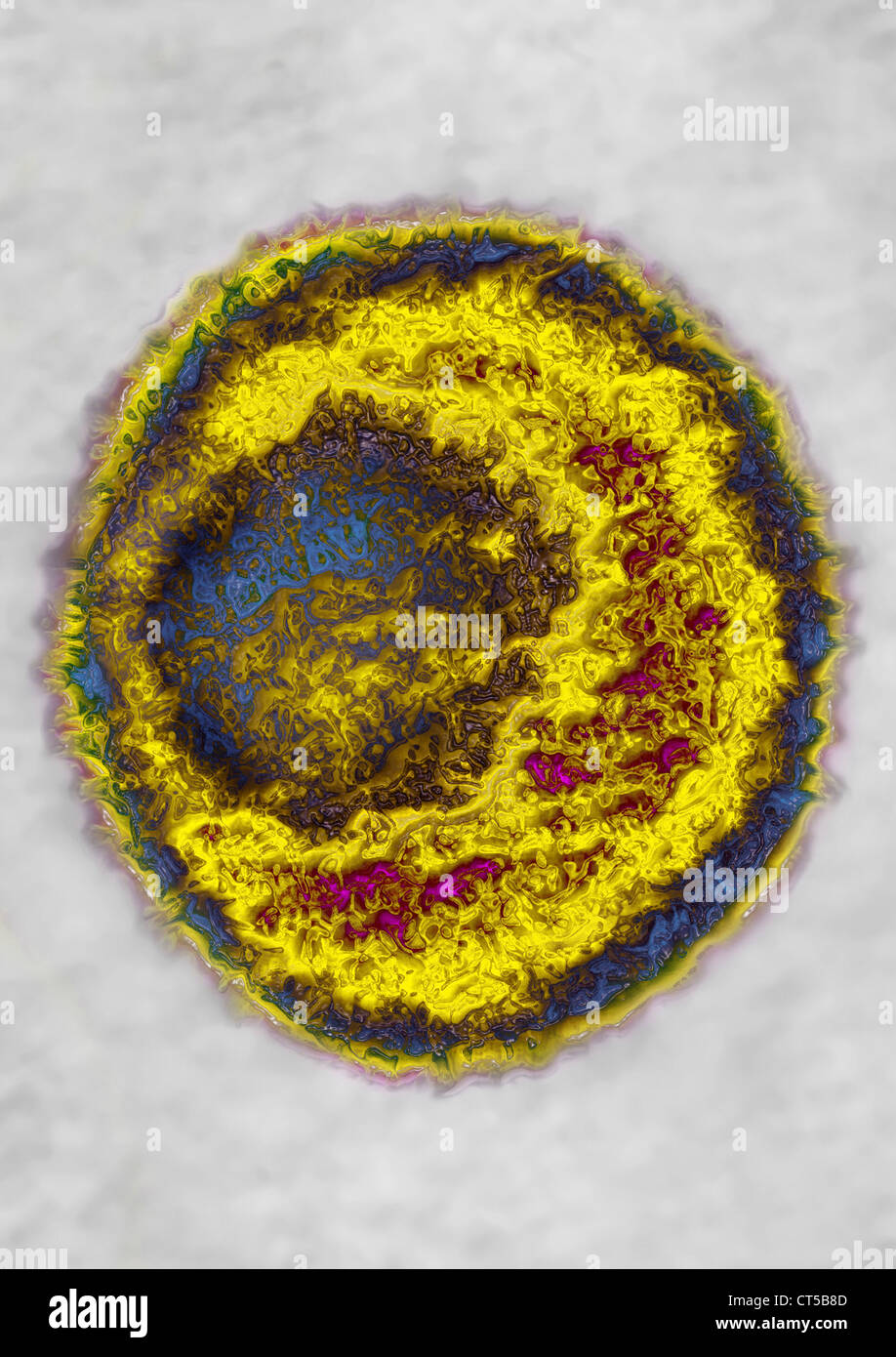 Herpes Simplex Viruses Hi-res Stock Photography And Images - Alamy