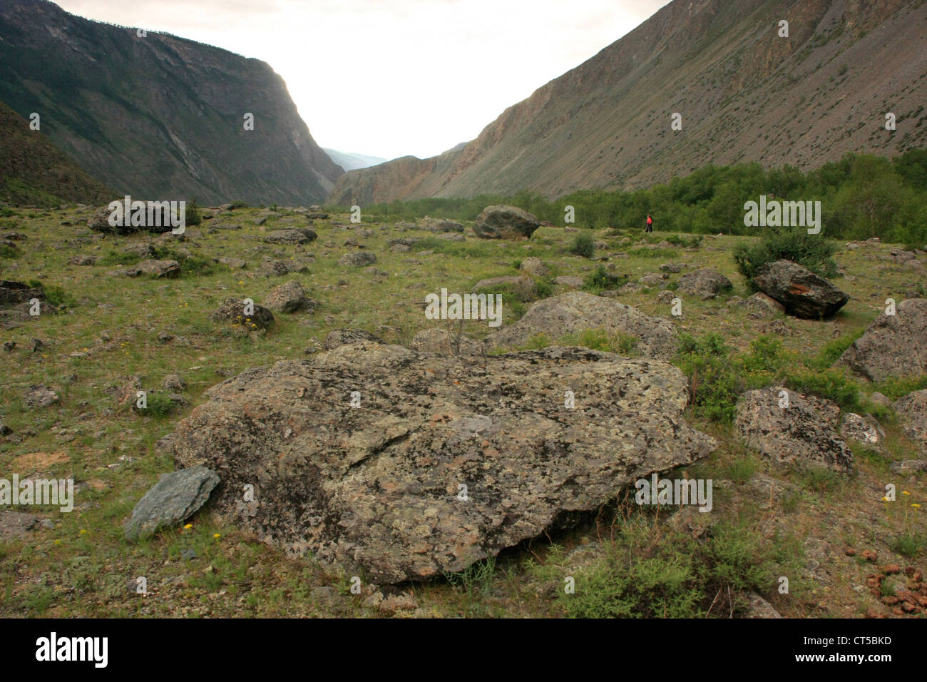 Rock-filled canyon floor, River Chulyshman Valley, Altai, Siberia, Russia Stock Photo