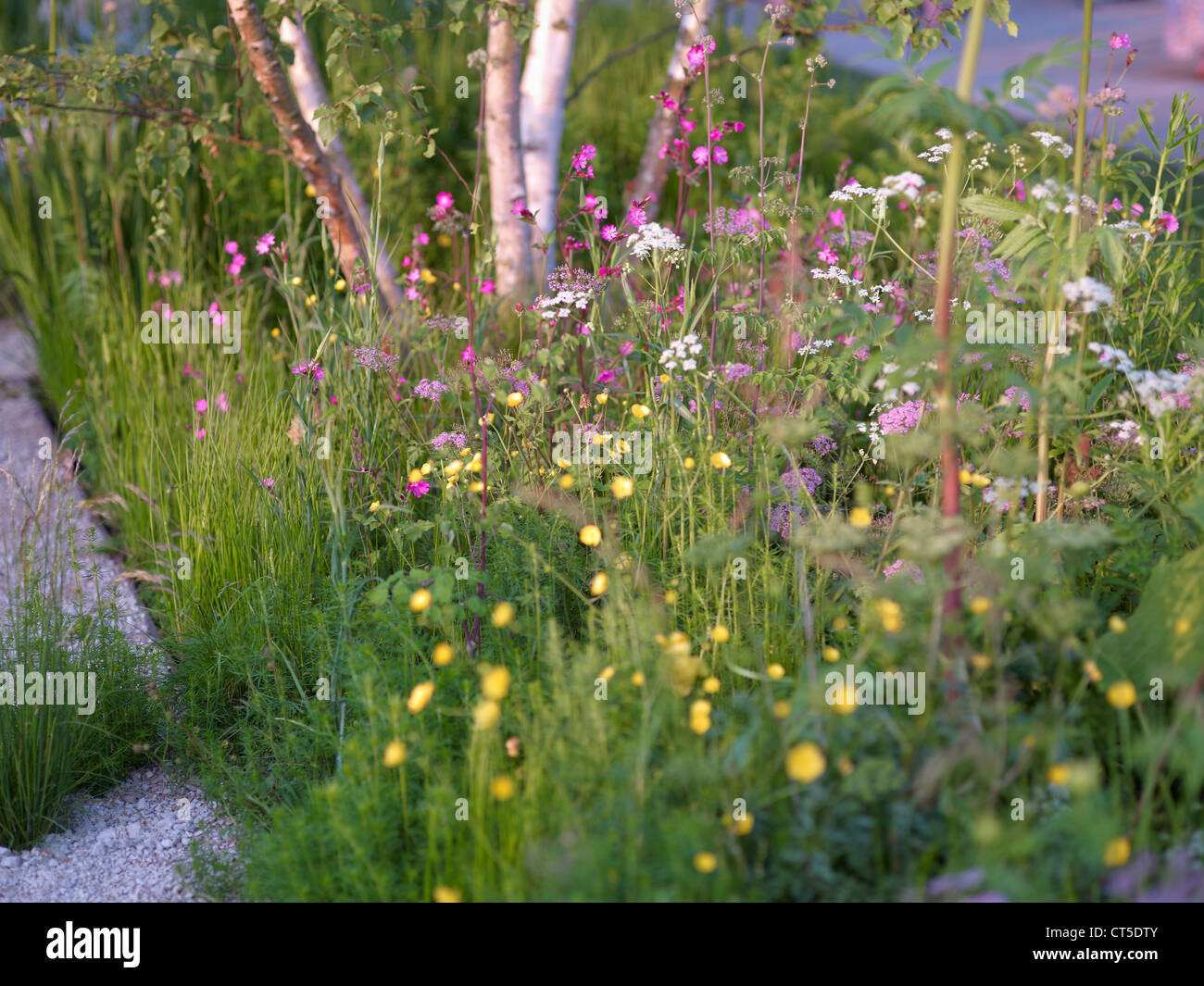 Chelsea flower show display garden hi-res stock photography and images ...