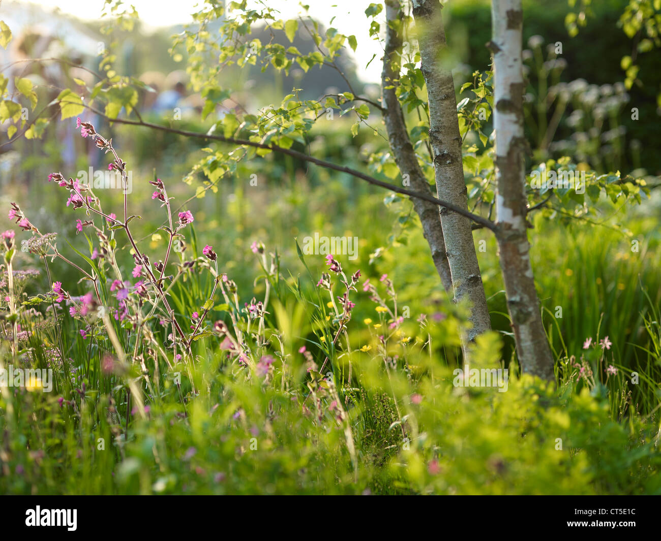 Chelsea flower show display garden hi-res stock photography and images ...