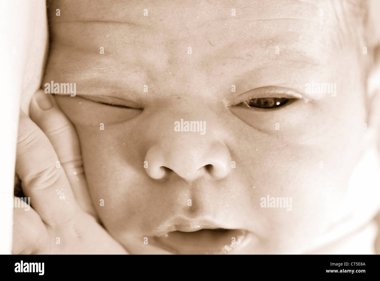 NEWBORN BABY FACE Stock Photo Alamy