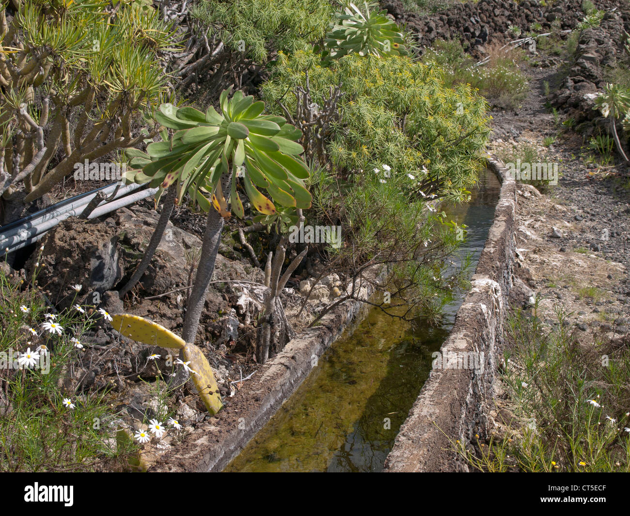 Traditional irrigation channel in the mountains of Tenerife Spain encountered on a hike Stock Photo