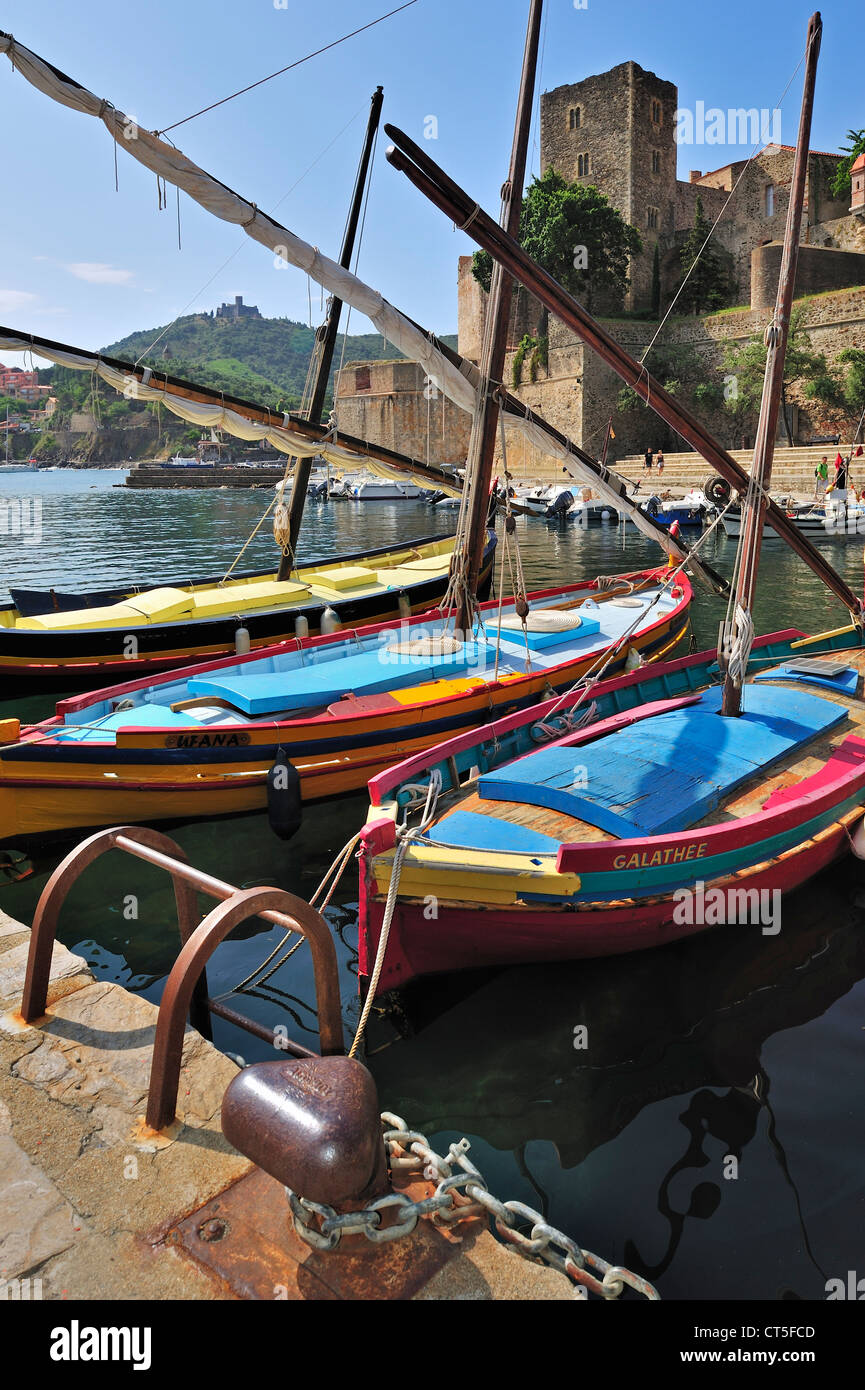 Traditional colourful fishing boats for fishing anchovies in the harbour at Collioure, Pyrénées-Orientales, Pyrenees, France Stock Photo