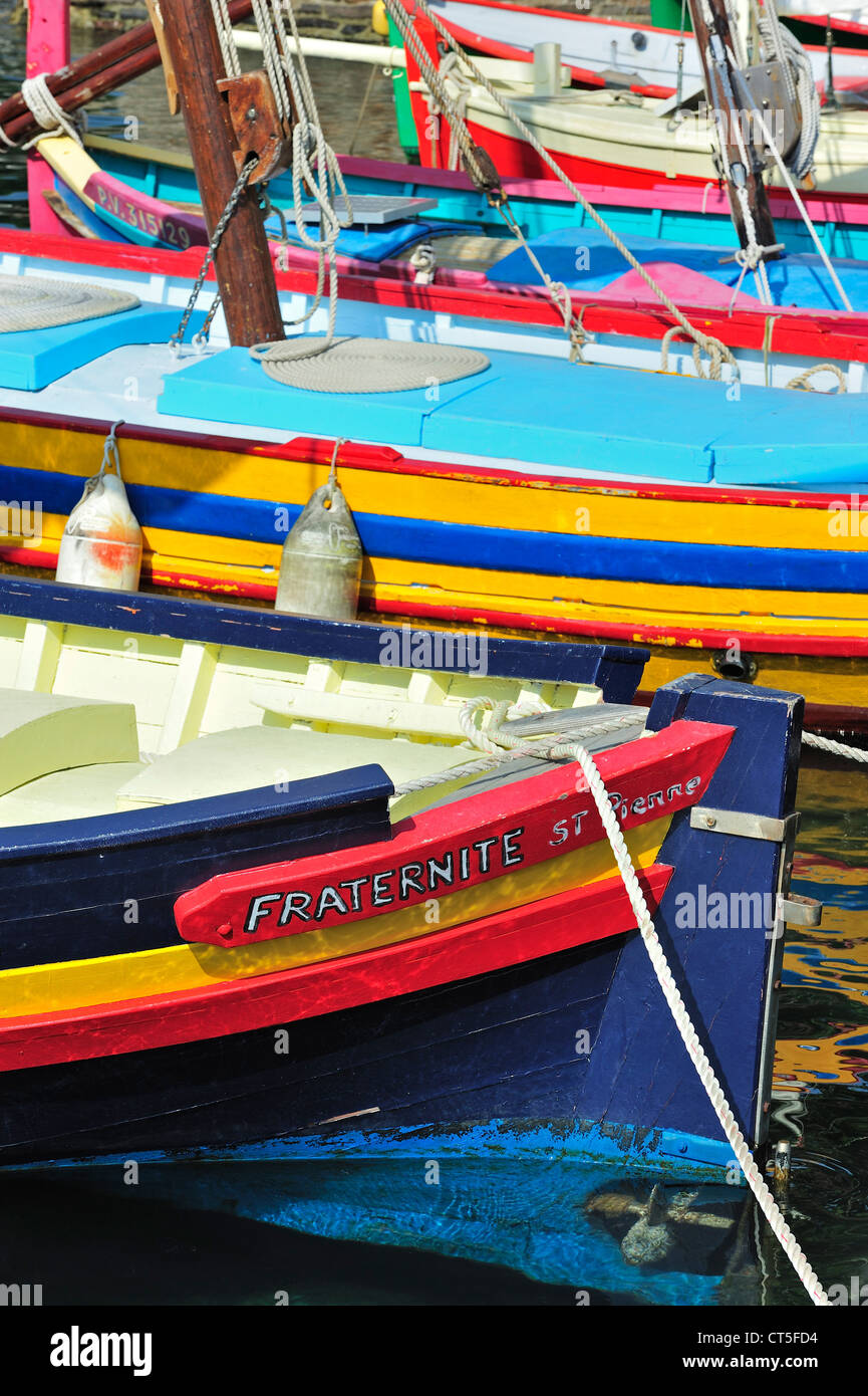 Traditional colourful fishing boats for fishing anchovies in the harbour at Collioure, Pyrénées-Orientales, Pyrenees, France Stock Photo