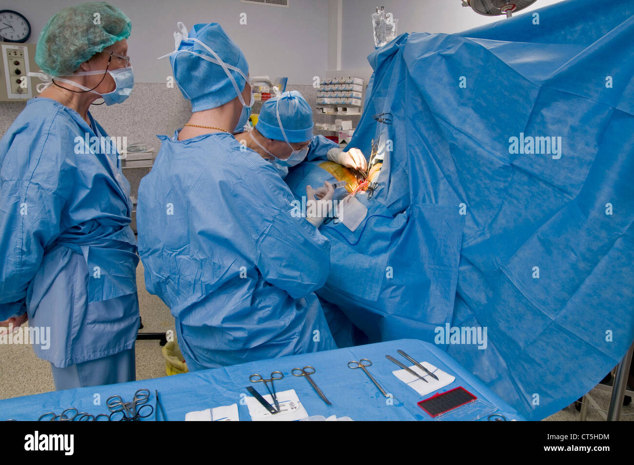 CAROTID, SURGERY Stock Photo