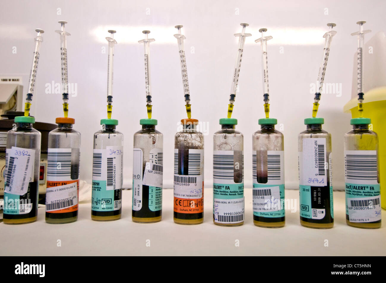 Hemoculture High Resolution Stock Photography And Images Alamy