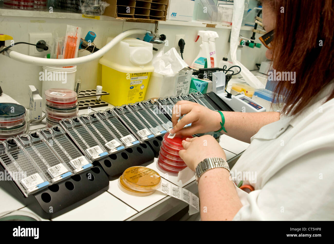 Bacteriology lab hires stock photography and images Alamy