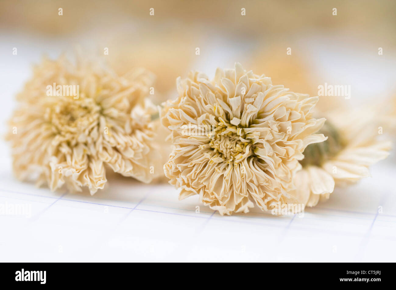 Ormenis High Resolution Stock Photography and Images - Alamy