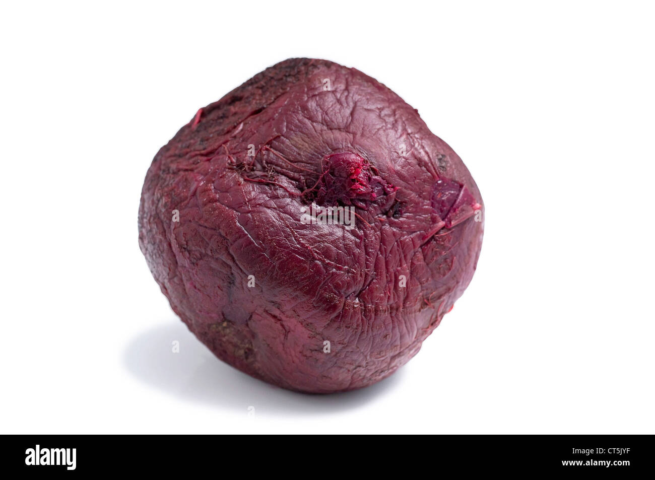 BEET Stock Photo