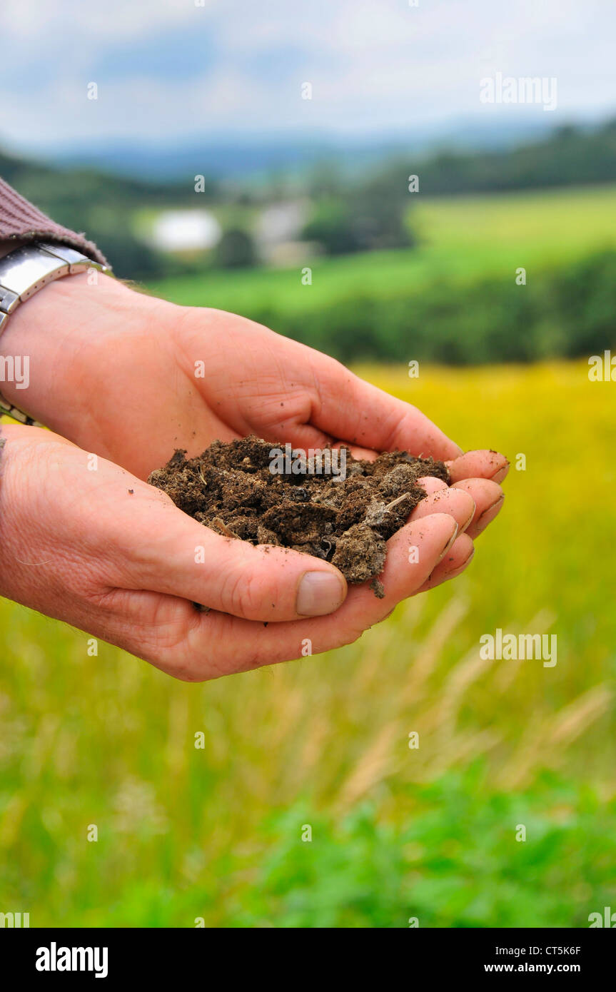 Human ecology hi-res stock photography and images - Alamy