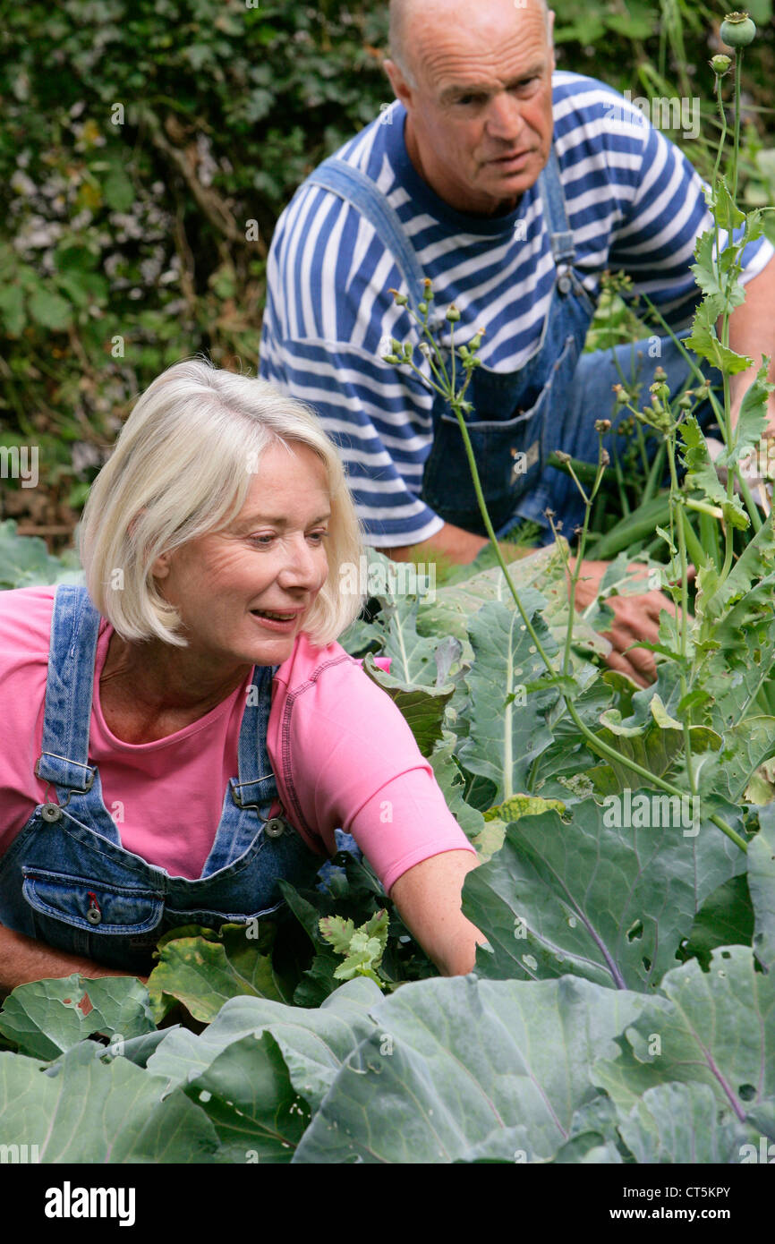 ELDERLY PERSON GARDENING Stock Photo - Alamy