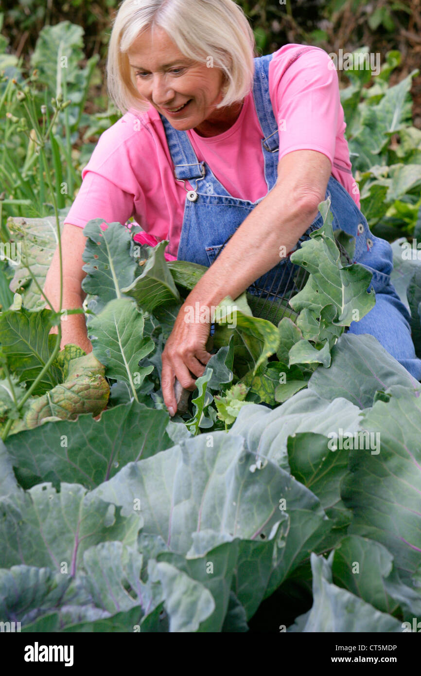 ELDERLY PERSON GARDENING Stock Photo - Alamy